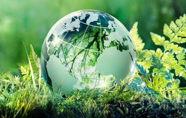 Gobodla Projects Environmental